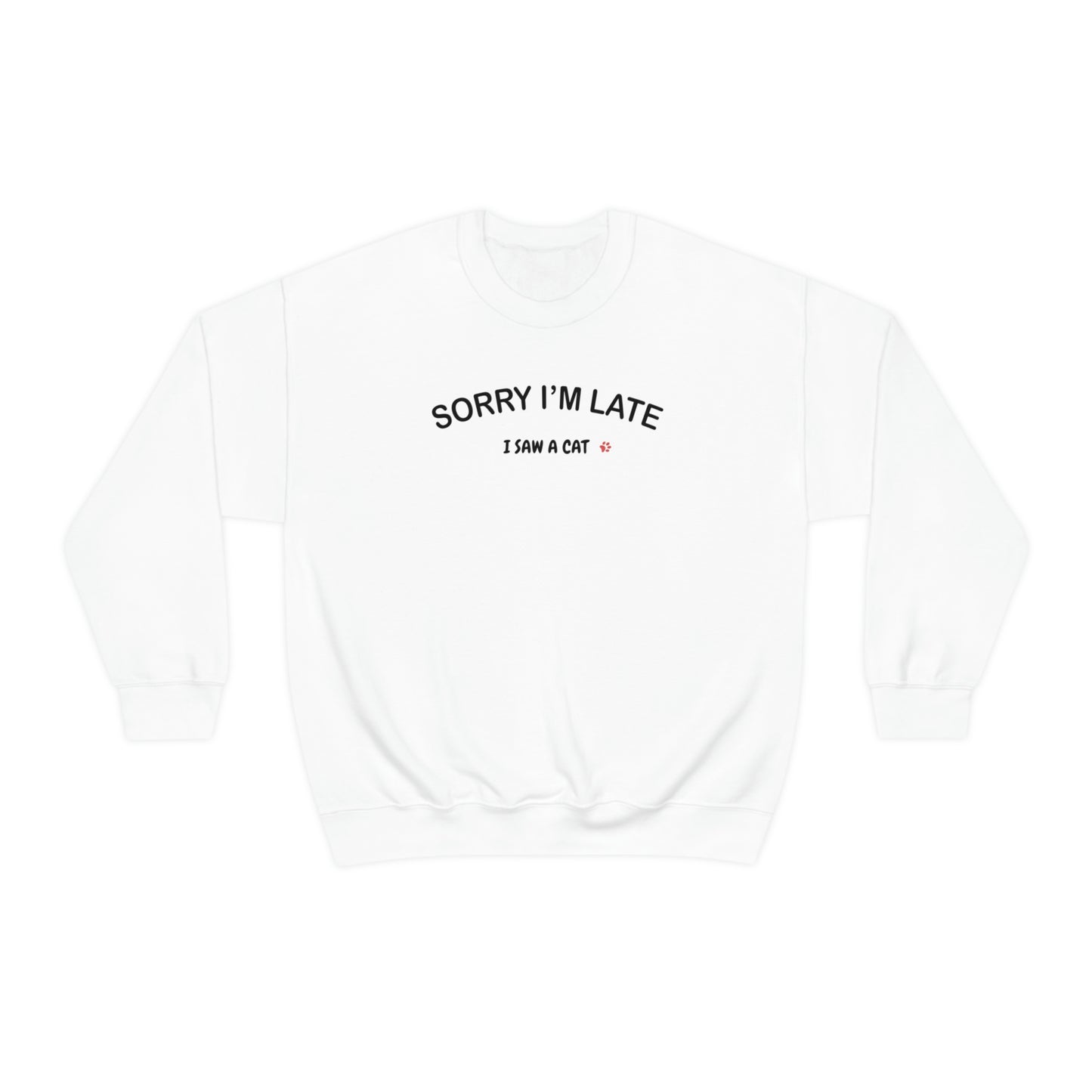 I Saw A Cat Sweatshirt