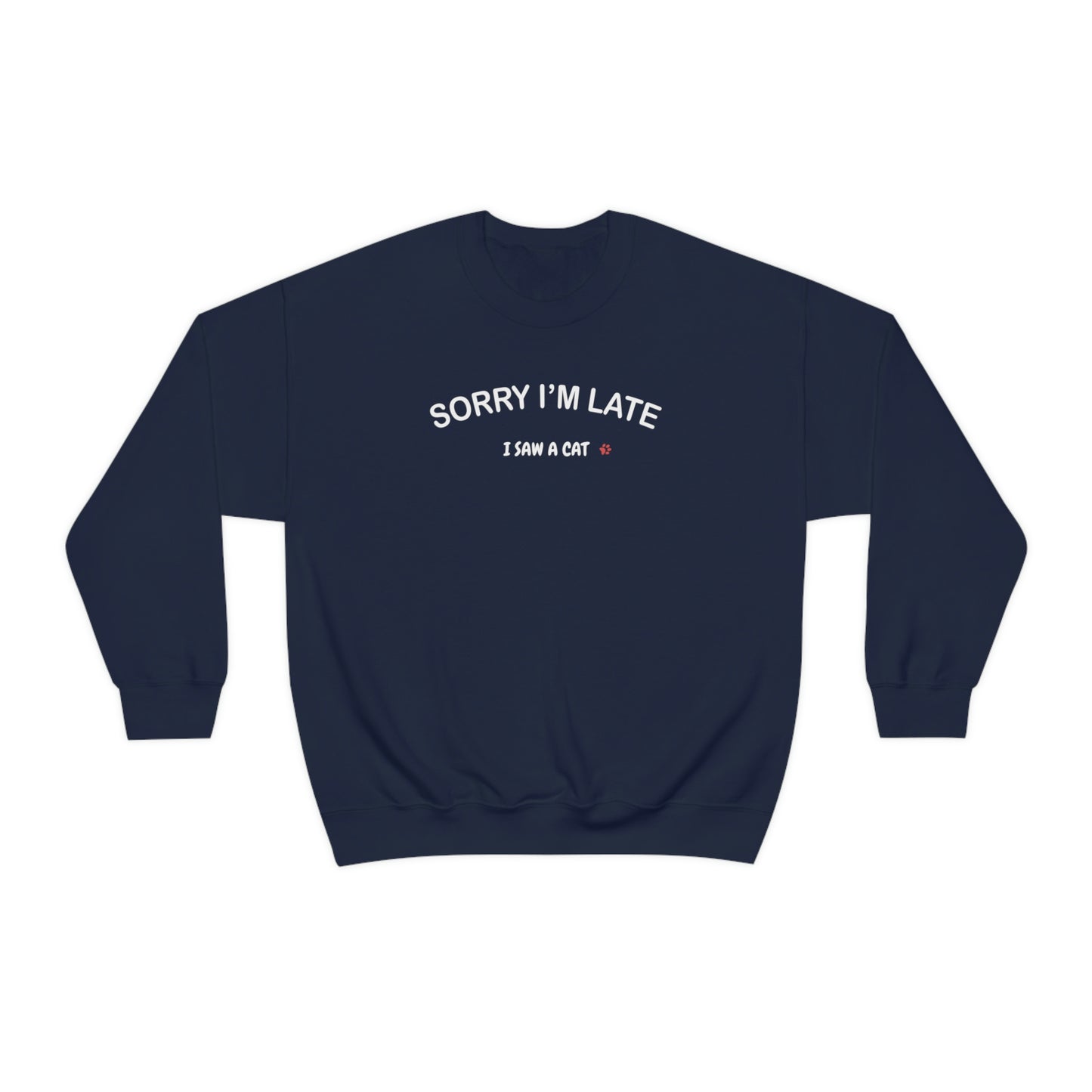 I Saw A Cat Sweatshirt