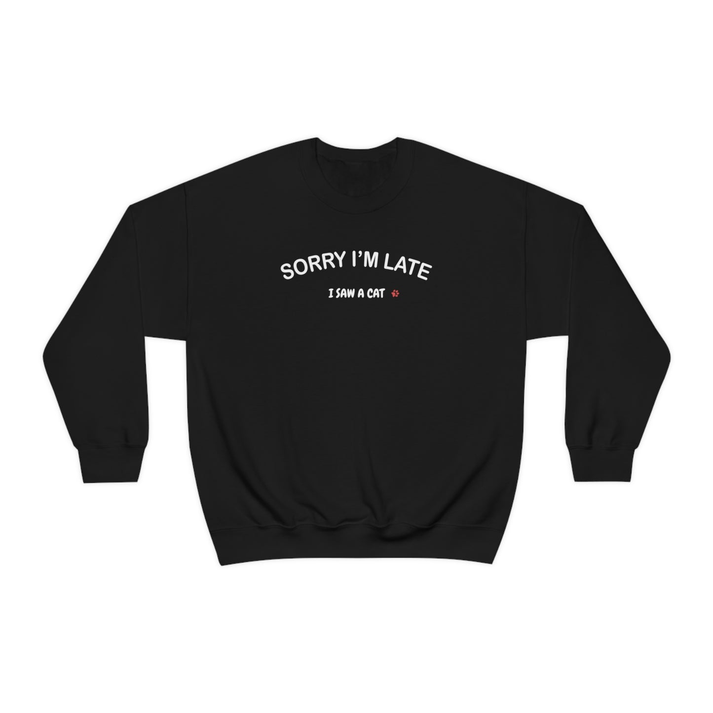 I Saw A Cat Sweatshirt